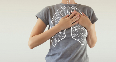 Image representing Understanding and Managing The Health of Your Respiratory system