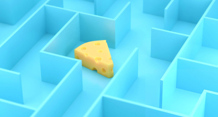 Image representing Navigating the Nutrition Maze: How Can a Dietician Help You Achieve Your Health Goals