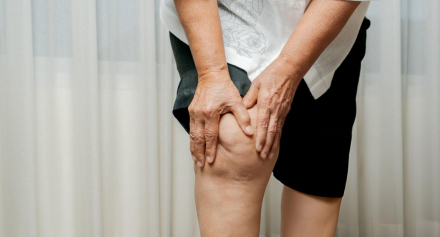 Image representing A Quick Guide to Osteoarthritis